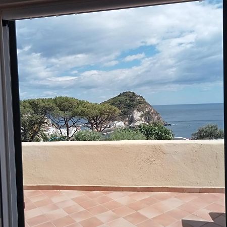 Parco Termale Tropical Bed & Breakfast Ischia Island Exterior photo