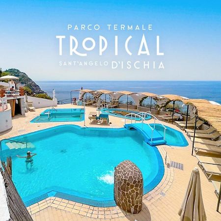 Parco Termale Tropical Bed & Breakfast Ischia Island Exterior photo